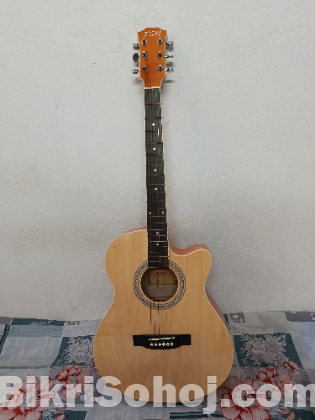 Acoustic Guitar TGM
